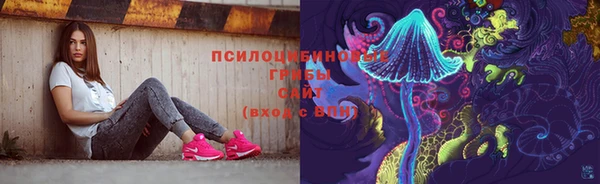 мяу мяу мука Абаза